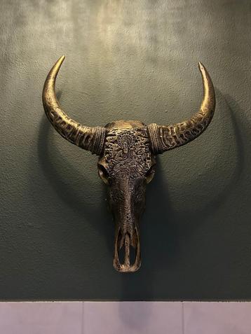 Buffel Schedel Wanddecoratie beschikbaar voor biedingen