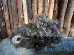 Lunkarya beertje, Dieren en Toebehoren, Knaagdieren, Cavia, Mannelijk, Juli, Tam