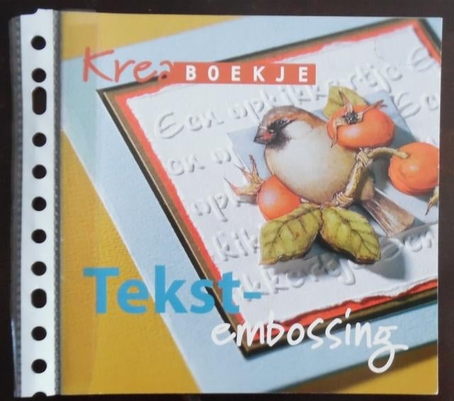 Boekje - Tekst-embossing, Ophalen of Verzenden, Zo goed als nieuw, Overige thema's, Overige typen