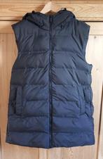 Bodywarmer + capuchon  M primark cares zwart, Kleding | Dames, Bodywarmers, Maat 38/40 (M), Primark, Zwart, Nieuw