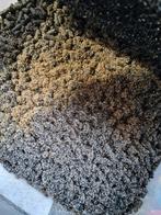 8 liter bakken springstaarten kweekbak, Dieren en Toebehoren, Insecten en Spinnen, Overige soorten