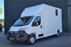 Opel Movano 2.2D 165 L3 3.5t Paardenwagen (bj 2023), Dieren en Toebehoren, Paarden en Pony's | Trailers en Aanhangwagens, Gebruikt