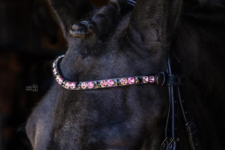 L'Anique Click&Go Frontriem Ayla, Dieren en Toebehoren, Paarden en Pony's | Hoofdstellen en Tuigage, Nieuw, Dressuur, Ophalen of Verzenden