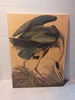 Great blue Heron 1834 - John James Audubon, Gebruikt, Ophalen of Verzenden, Schilderij, 75 cm of meer