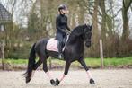 Instructie ,Training, zadelmak maken, (ZZP) + stal vrij, Diensten en Vakmensen, Dieren | Paarden | Verzorging, Oppas en Les