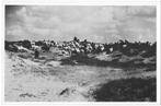AK Ruinen - De Drentse kudde  bij Ruinen, Verzenden, 1940 tot 1960, Ongelopen, Drenthe