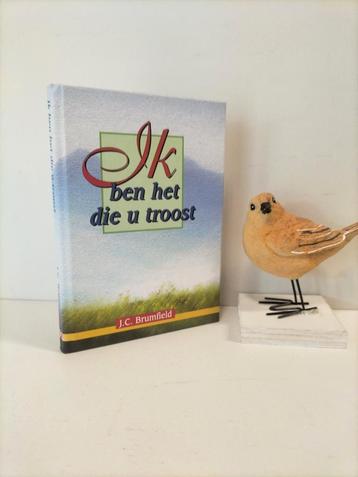 Brumfield, J.C.; Ik ben het die u troost beschikbaar voor biedingen