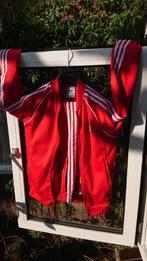Adidas trainingspak rood maat 48 jersey + broek, Kleding | Heren, Ophalen of Verzenden, Zo goed als nieuw, Maat 48/50 (M), Rood