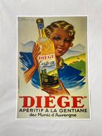 Diege poster, Ophalen of Verzenden, Zo goed als nieuw