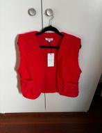Nieuw roze teddy gilet maat S, Kleding | Dames, Enjoy, Nieuw, Ophalen of Verzenden, Roze