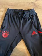 Bayern München trainingsbroek Adidas 22/23 Maat S, Kleding | Heren, Sportkleding, Ophalen of Verzenden, Adidas, Grijs, Maat 46 (S) of kleiner