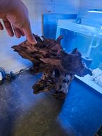 Aquarium hout, Dieren en Toebehoren, Ophalen of Verzenden, Zo goed als nieuw, Plant(en), Steen of Hout
