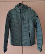 Mint groene donsjack. Licht gewicht. Human Nature, maat L, Kleding | Dames, Jassen | Winter, Maat 42/44 (L), Ophalen of Verzenden
