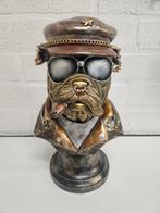 BULLDOG , BEELD , HOOGTE 35 CM , NIEUW , BUSTE , BRIL , GOUD, Ophalen of Verzenden, Nieuw