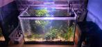 Aquarium, Dieren en Toebehoren, Ophalen of Verzenden, Leeg aquarium