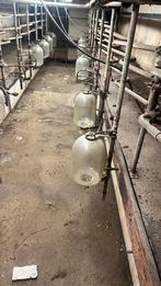 Melkglazen 28 liter gratis ophalen, Dieren en Toebehoren