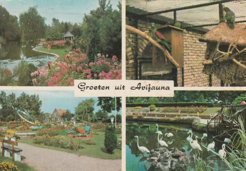 ALPHEN A D RIJN Avifauna Vogelpark Groeten, Verzamelen, Ansichtkaarten | Nederland, Gelopen, Zuid-Holland, 1960 tot 1980, Verzenden