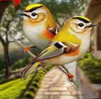 Raamhanger goudhaan, Huis en Inrichting, Woonaccessoires | Wanddecoraties, Verzenden, Nieuw