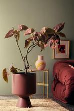 Gezocht: Kähler Fiora pot mega bordeaux, Ophalen of Verzenden, Halfschaduw, Minder dan 100 cm