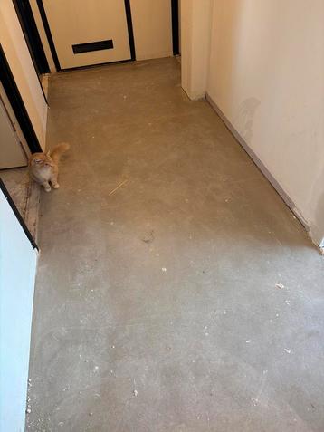 GEZOCHT VLOER EGALISEREN beschikbaar voor biedingen