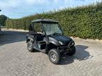 Frisian FM55 Buggy - 8198km, Ophalen