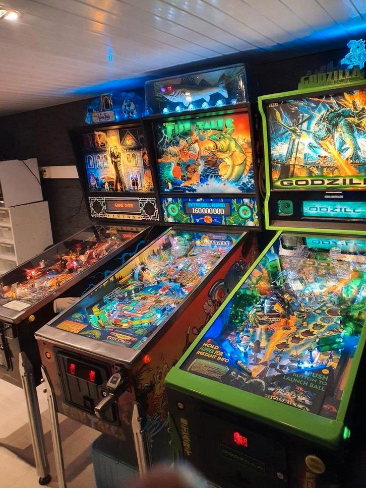 Sega Godzilla, Verzamelen, Automaten | Flipperkasten, Zo goed als nieuw, Ophalen