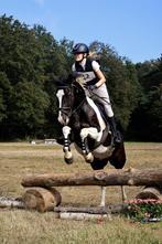 D/E pony, Dieren en Toebehoren, Pony's, Merrie, B, 7 tot 10 jaar, Recreatiepony