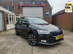 Skoda Fabia Combi 1.0 TSI Business Edition Dealer onderhoude, Stof, Gebruikt, 95 pk, 1036 kg