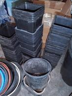 GRATIS Kweekpotjes en bloempotten, Ophalen, Zo goed als nieuw