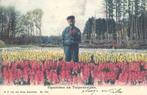 Hyacinten en tulpenvelden (1907), Ophalen of Verzenden, Voor 1920, Gelopen, Overige thema's