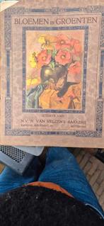 Plaatjesboek jaren '20, Ophalen of Verzenden, Gelezen