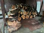 Vers berkenhout – dikke stammen & mooie schijven, Tuin en Terras, Haardhout, Minder dan 3 m³, Ophalen, Berkenhout, Blokken