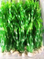 mooie decoratieve kunststof aquariumplantjes voor 1.50 euro, Verzenden, Nieuw, Plant(en), Steen of Hout