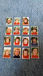 Ajax panini Vanderhout 1975-1976, Verzamelen, Sportartikelen en Voetbal, Gebruikt, Ophalen of Verzenden, Ajax, Poster, Plaatje of Sticker