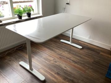 Ikea Bekant wit bureau, 140 x 80, in hoogte verstelbaar beschikbaar voor biedingen