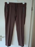 Dreamstar travelbroek bruin XXL 44-46, Kleding | Dames, Bruin, Maat 46/48 (XL) of groter, Ophalen of Verzenden, Zo goed als nieuw
