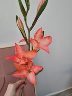 Kunstbloem, Ophalen of Verzenden, Zo goed als nieuw