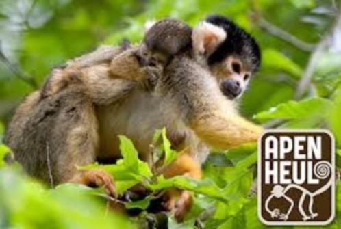 Apenheul 20% korting op online tickets voor max. 4 pers, Tickets en Kaartjes, Recreatie | Dierentuinen, Kortingskaart