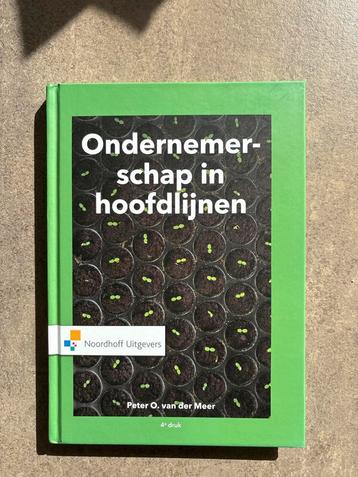 Ondernemerschap in hoofdlijnen - P.O. van der Meer beschikbaar voor biedingen