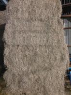 Hooi grote balen, Dieren en Toebehoren, Ophalen of Verzenden, Vee