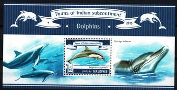 maldives pf blok diolfijnen dolphins zeeleven zeezoogdieren beschikbaar voor biedingen