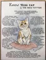 Know your cat - the new kitten - Dick Twinney, Ophalen of Verzenden, Zo goed als nieuw