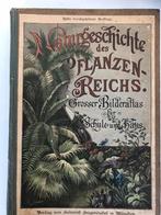 Das Planzenreich  von M.Funfstuck 1897, Gelezen, Ophalen