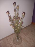 'droogbloemen  juffertje in het groen', Ophalen of Verzenden, Nieuw, Binnen