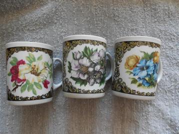 3 Jarolina bekers Hybiscus kerstroos beschikbaar voor biedingen