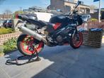 Aprilia RSV 1000 Tuono te koop, Motoren, Motoren | Aprilia, 2 cilinders, Sportuitlaat, Particulier, Meer dan 35 kW