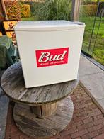 Mini Koelkast, Ophalen, Gebruikt, Minder dan 85 cm, Minder dan 75 liter