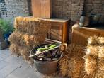 6 kleine stro balen T.E.A.B, Dieren en Toebehoren
