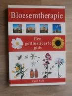 Bloesemtherapie - Carol Rudd, Boeken, Esoterie en Spiritualiteit, Zo goed als nieuw, Verzenden, Overige onderwerpen