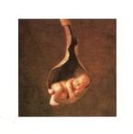 Dominic, Ophalen of Verzenden, 2000 tot heden, Geboortekaartje